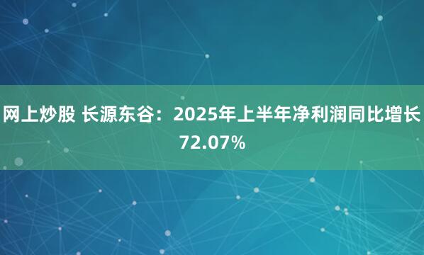 网上炒股 长源东谷：2025年上半年净利润同比增长72.07%