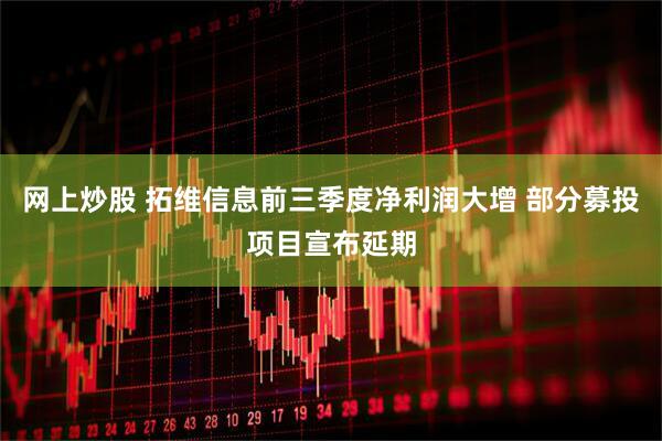 网上炒股 拓维信息前三季度净利润大增 部分募投项目宣布延期